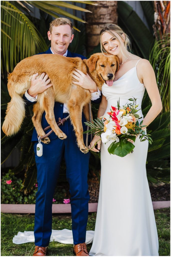 Image of bride and groom with their dog